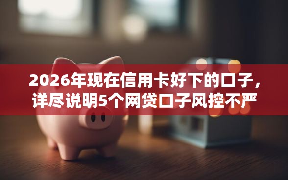 2026年现在信用卡好下的口子，详尽说明5个网贷口子风控不严的软件