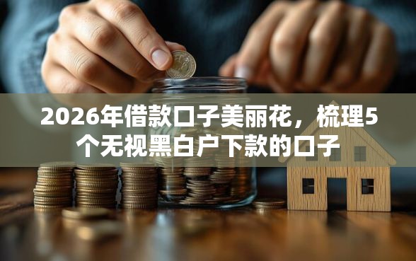 2026年借款口子美丽花，梳理5个无视黑白户下款的口子