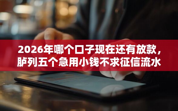 2026年哪个口子现在还有放款，胪列五个急用小钱不求征信流水轻松贷的软件