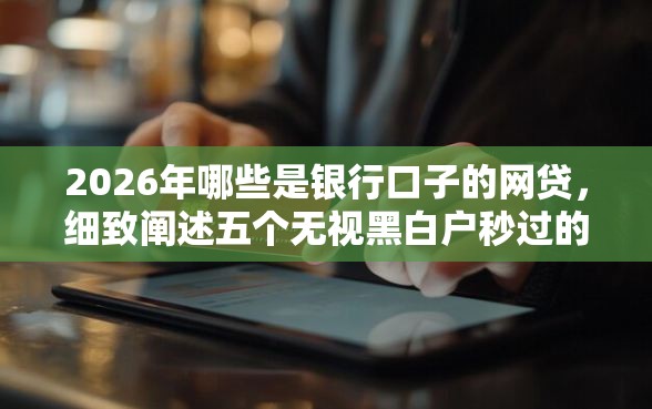 2026年哪些是银行口子的网贷，细致阐述五个无视黑白户秒过的网贷