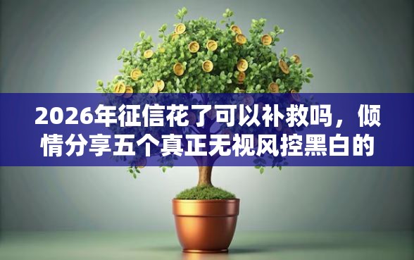 2026年征信花了可以补救吗，倾情分享五个真正无视风控黑白的网贷软件