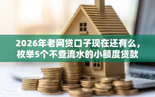2026年老网贷口子现在还有么，枚举5个不查流水的小额度贷款平台