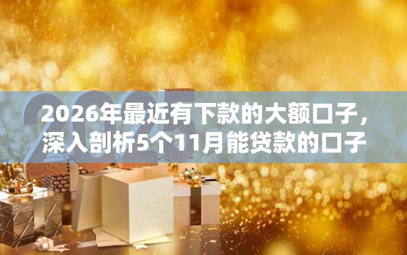 2026年最近有下款的大额口子，深入剖析5个11月能贷款的口子