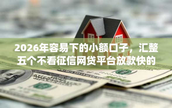 2026年容易下的小额口子，汇整五个不看征信网贷平台放款快的app