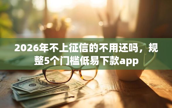 2026年不上征信的不用还吗，规整5个门槛低易下款app