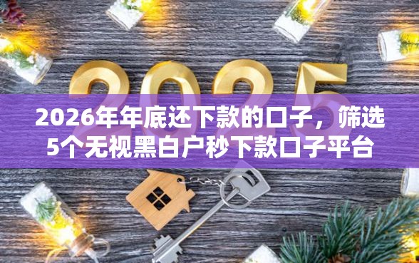 2026年年底还下款的口子，筛选5个无视黑白户秒下款口子平台