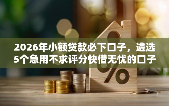 2026年小额贷款必下口子，遴选5个急用不求评分快借无忧的口子