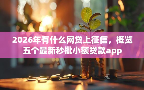 2026年有什么网贷上征信，概览五个最新秒批小额贷款app