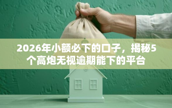 2026年小额必下的口子，揭秘5个高炮无视逾期能下的平台