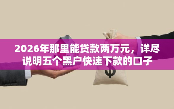 2026年那里能贷款两万元，详尽说明五个黑户快速下款的口子