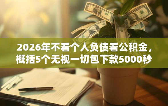 2026年不看个人负债看公积金，概括5个无视一切包下款5000秒下款的平台