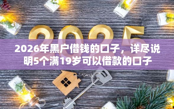 2026年黑户借钱的口子，详尽说明5个满19岁可以借款的口子