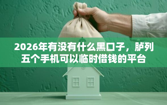 2026年有没有什么黑口子，胪列五个手机可以临时借钱的平台