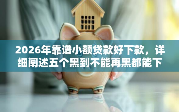 2026年靠谱小额贷款好下款，详细阐述五个黑到不能再黑都能下款的口子