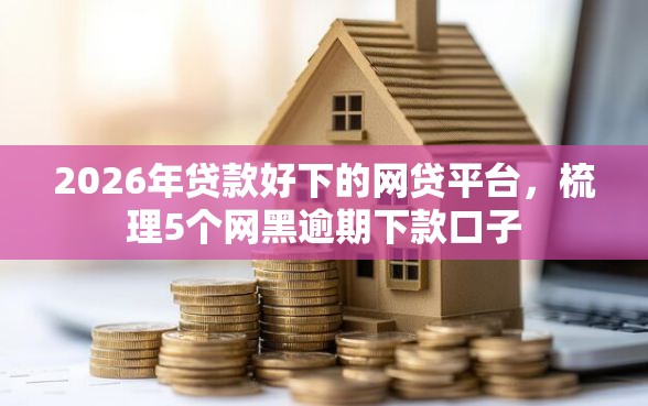 2026年贷款好下的网贷平台,梳理5个网黑逾期下款口子 2026年贷款好下的网贷平台,梳理5个网黑逾期下款口子