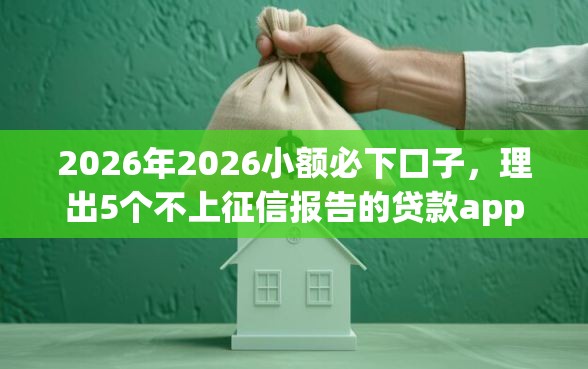 2026年2026小额必下口子，理出5个不上征信报告的贷款app