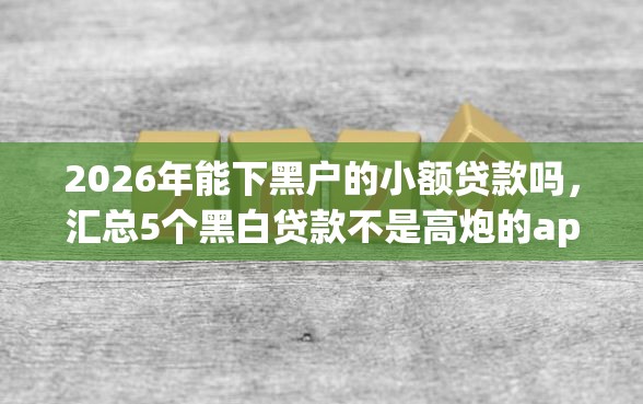 2026年能下黑户的小额贷款吗，汇总5个黑白贷款不是高炮的app