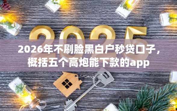 2026年不刷脸黑白户秒贷口子，概括五个高炮能下款的app