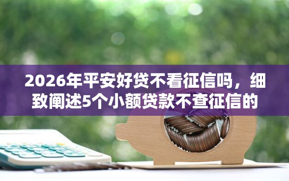 2026年平安好贷不看征信吗，细致阐述5个小额贷款不查征信的平台