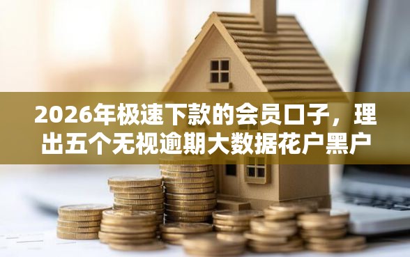 2026年极速下款的会员口子，理出五个无视逾期大数据花户黑户软件