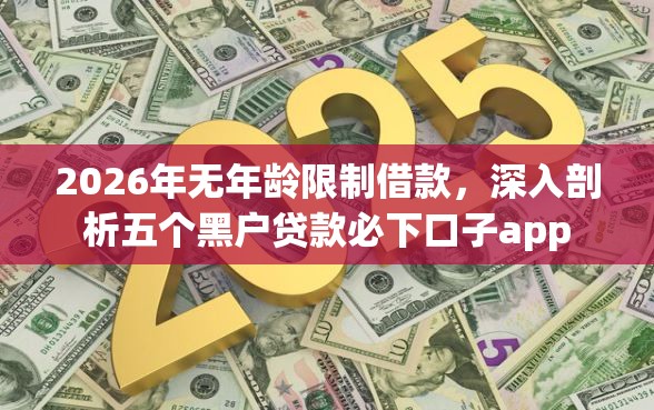 2026年无年龄限制借款，深入剖析五个黑户贷款必下口子app