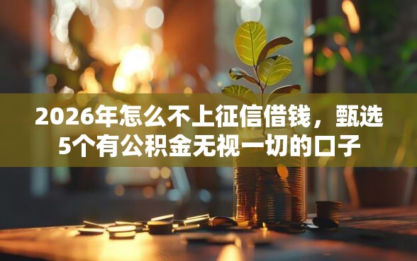 2026年怎么不上征信借钱，甄选5个有公积金无视一切的口子