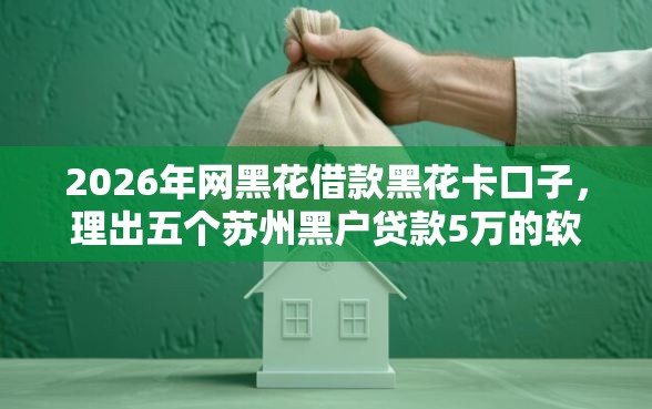 2026年网黑花借款黑花卡口子，理出五个苏州黑户贷款5万的软件