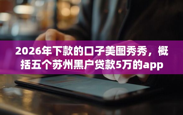 2026年下款的口子美图秀秀，概括五个苏州黑户贷款5万的app