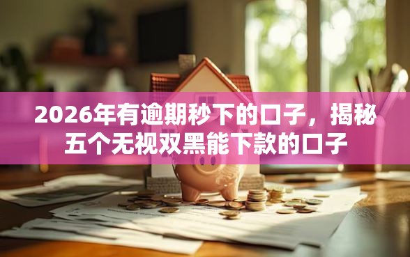 2026年有逾期秒下的口子，揭秘五个无视双黑能下款的口子