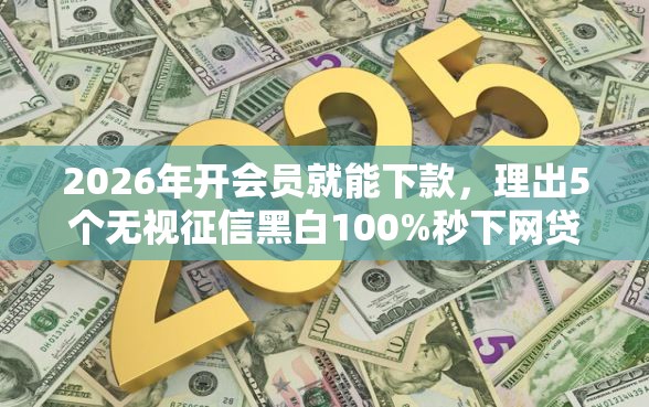 2026年开会员就能下款，理出5个无视征信黑白100%秒下网贷平台
