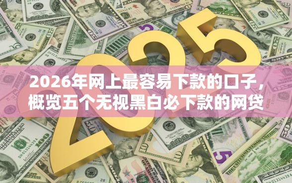 2026年网上最容易下款的口子，概览五个无视黑白必下款的网贷平台