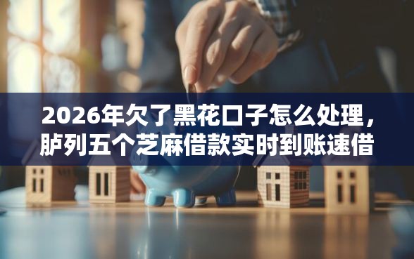 2026年欠了黑花口子怎么处理，胪列五个芝麻借款实时到账速借平台