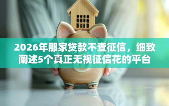 2026年那家贷款不查征信，细致阐述5个真正无视征信花的平台