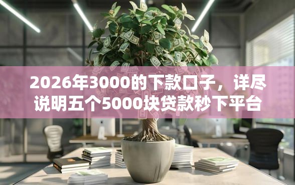 2026年3000的下款口子，详尽说明五个5000块贷款秒下平台