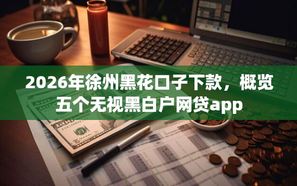 2026年徐州黑花口子下款，概览五个无视黑白户网贷app