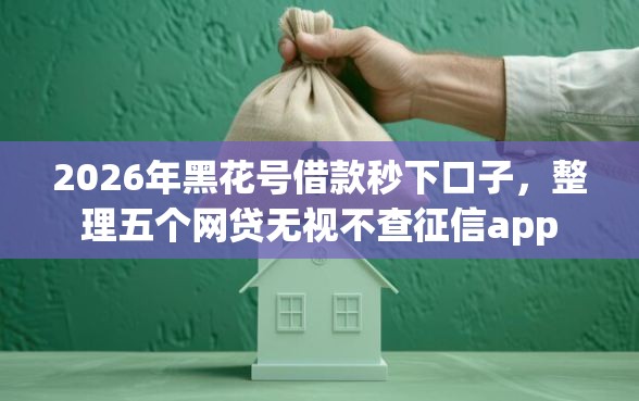 2026年黑花号借款秒下口子，整理五个网贷无视不查征信app