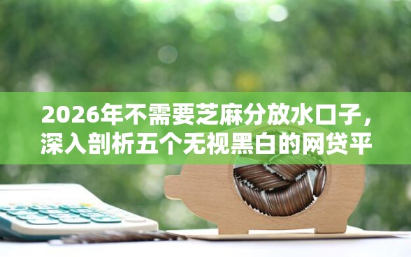 2026年不需要芝麻分放水口子，深入剖析五个无视黑白的网贷平台