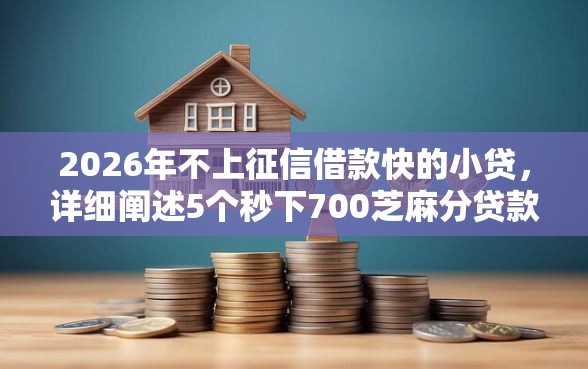 2026年不上征信借款快的小贷，详细阐述5个秒下700芝麻分贷款口子
