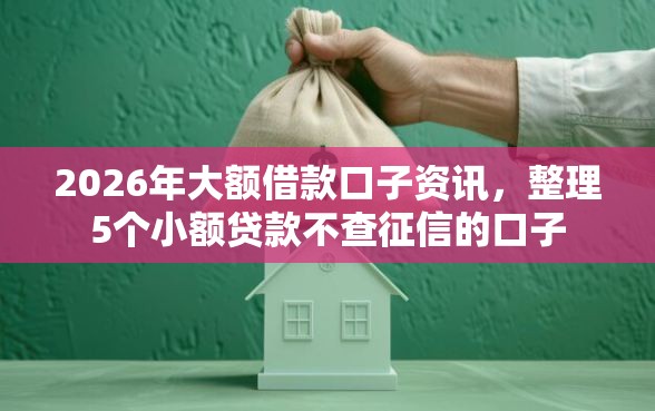 2026年大额借款口子资讯，整理5个小额贷款不查征信的口子