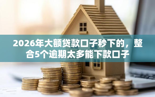 2026年大额贷款口子秒下的，整合5个逾期太多能下款口子