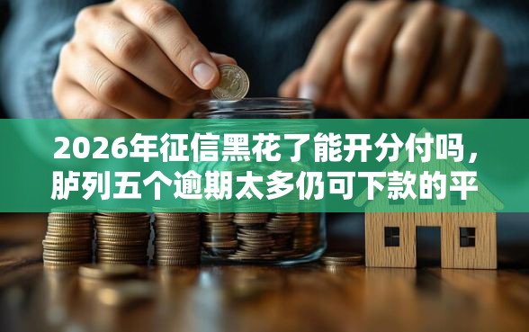 2026年征信黑花了能开分付吗，胪列五个逾期太多仍可下款的平台