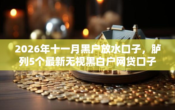 2026年十一月黑户放水口子，胪列5个最新无视黑白户网贷口子