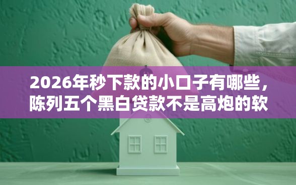 2026年秒下款的小口子有哪些，陈列五个黑白贷款不是高炮的软件
