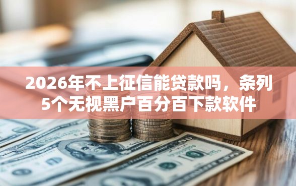 2026年不上征信能贷款吗，条列5个无视黑户百分百下款软件