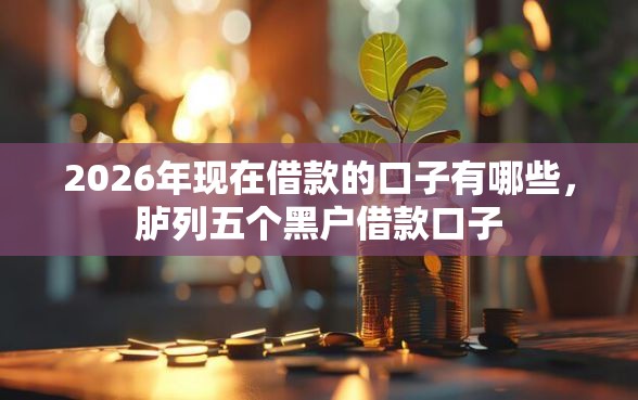 2026年现在借款的口子有哪些，胪列五个黑户借款口子