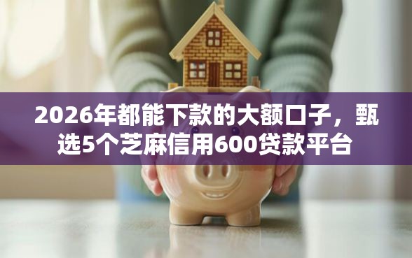 2026年都能下款的大额口子，甄选5个芝麻信用600贷款平台