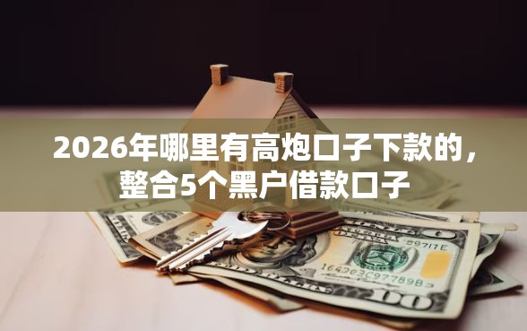 2026年哪里有高炮口子下款的，整合5个黑户借款口子