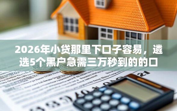 2026年小贷那里下口子容易，遴选5个黑户急需三万秒到的的口子