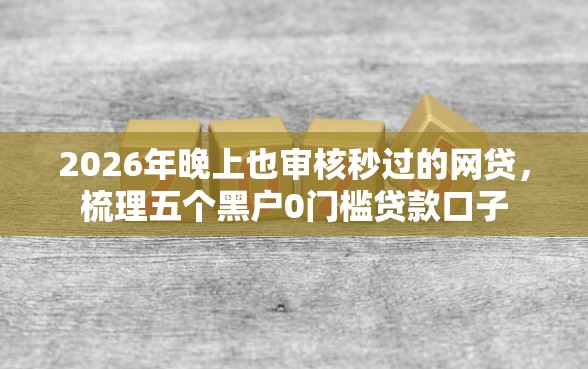 2026年晚上也审核秒过的网贷，梳理五个黑户0门槛贷款口子