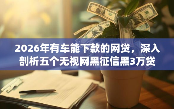 2026年有车能下款的网贷，深入剖析五个无视网黑征信黑3万贷款秒款app名单